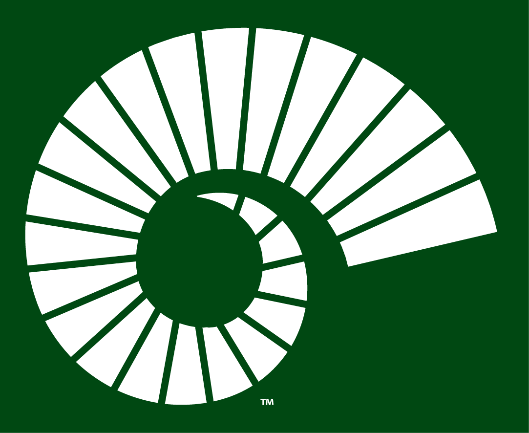 Colorado State Rams 2015-Pres Alternate Logo t shirts DIY iron ons v3
